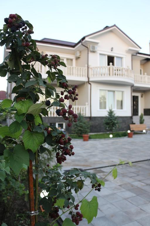 Guest House Sofia كوبوليتي المظهر الخارجي الصورة